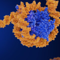 Exploring DNA Methylation Profiling