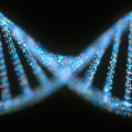 Direct Sequencing: What You Need to Know