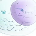 Gene Expression: What It Is and How It Works