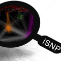 Uncovering Single Nucleotide Polymorphism (SNP) Profiling