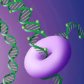 Mutation Detection Methods: A Comprehensive Overview