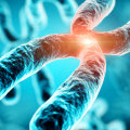 What is a Mutation?