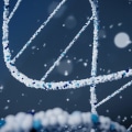 An Introduction to Sanger Sequencing