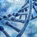 Applications of DNA Profiling: The Basics