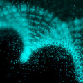DNA Profiling - What is it and How Does It Work?