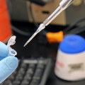 Data Mining Techniques for DNA Profiling