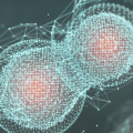 Bioinformatics Analysis: A Comprehensive Overview