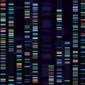 Exploring the Applications of DNA Sequencing