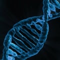 What is DNA Profiling?