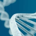 DNA Types: A Comprehensive Overview