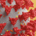 Predicting the Effect of Mutations