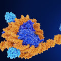 Epigenetic Modifications in Disease States