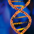 Understanding Genetic Testing: What it is and What it Means