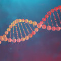 What is DNA?