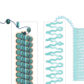 Histones and Chromatin: A Comprehensive Overview