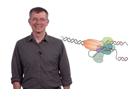 Exploring DNA Replication - What You Need to Know
