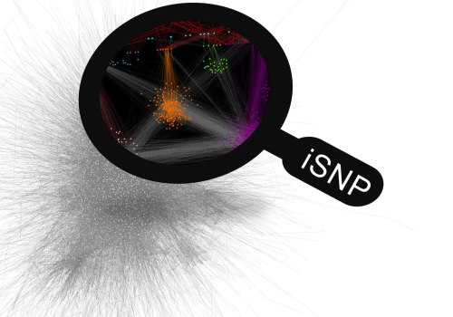 Uncovering Single Nucleotide Polymorphism (SNP) Profiling