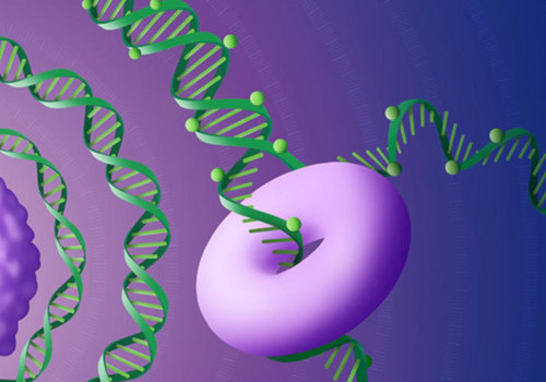 Mutation Detection Methods: A Comprehensive Overview