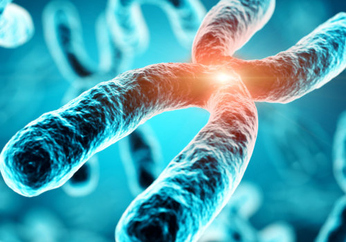 What is a Mutation?