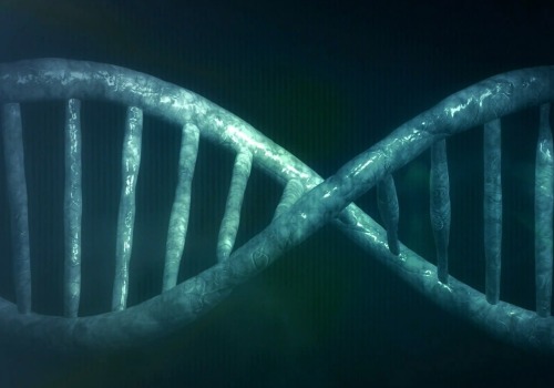 Unravelling the Regulation of DNA Replication