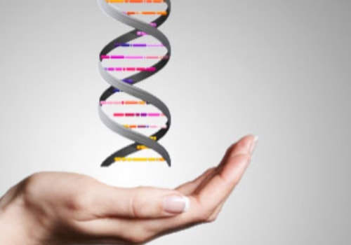 Exploring the Basics of Epigenetics