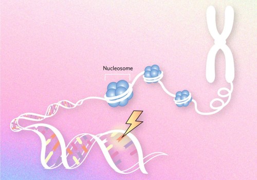 Data Mining Techniques for Epigenetic Profiling Methods