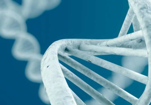 DNA Types: A Comprehensive Overview
