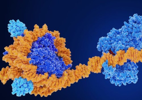 Epigenetic Modifications in Disease States