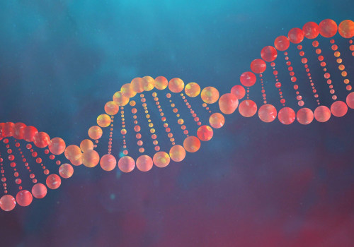 What is DNA?